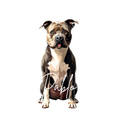 Personalisiertes Haustierbild zum Download